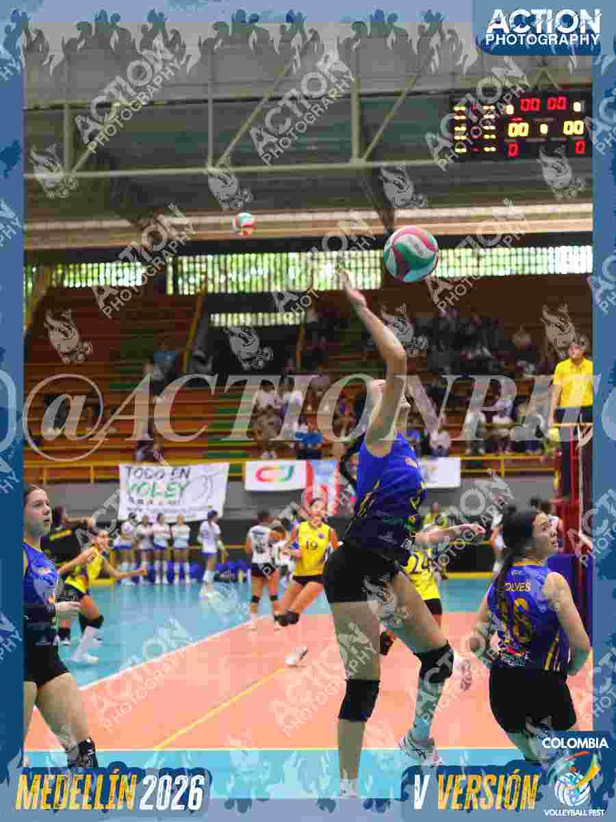 WOLVES Foto 11