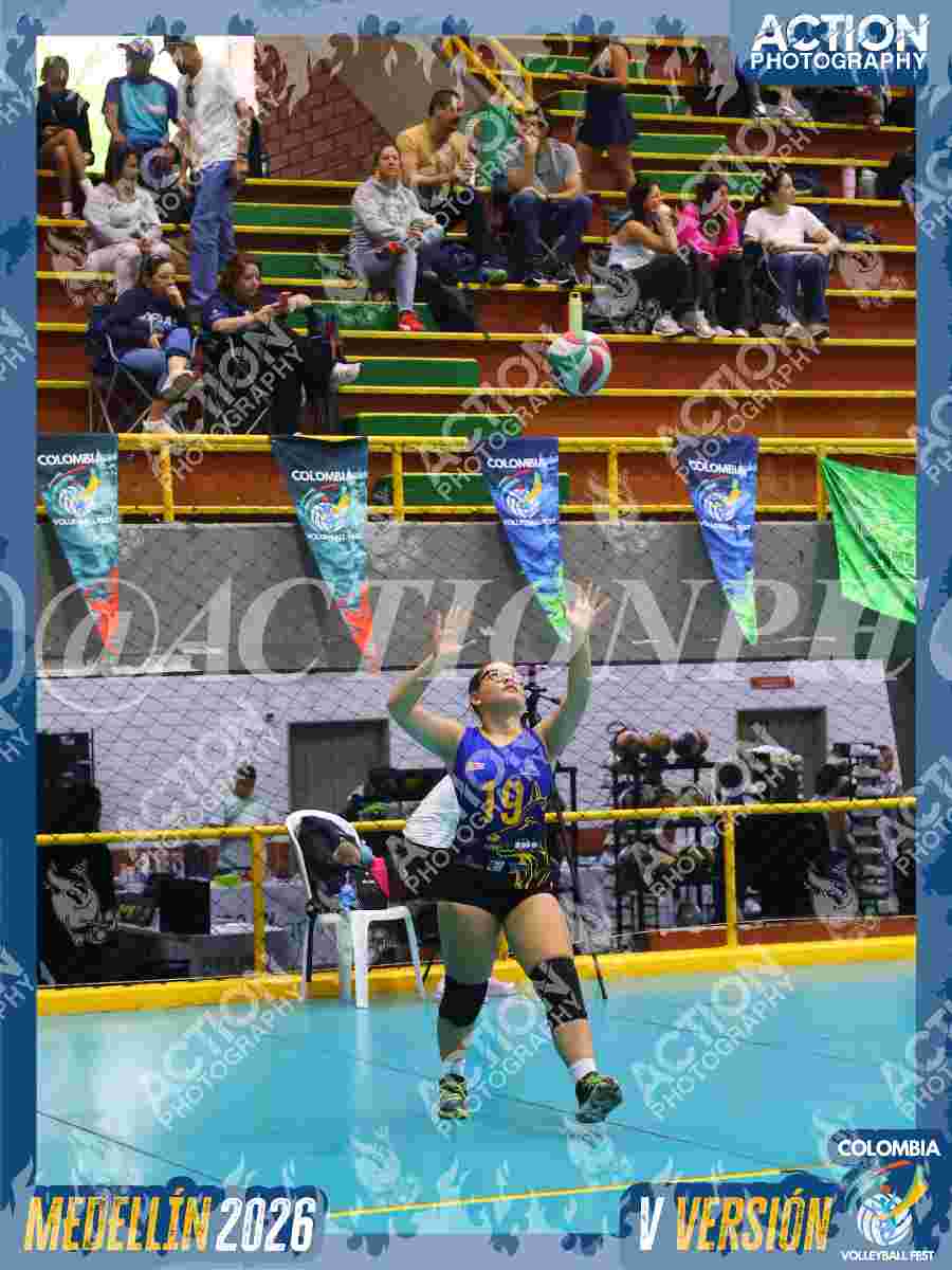 WOLVES Foto 11
