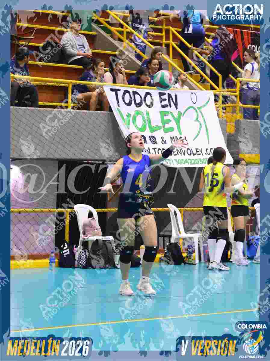 WOLVES Foto 11