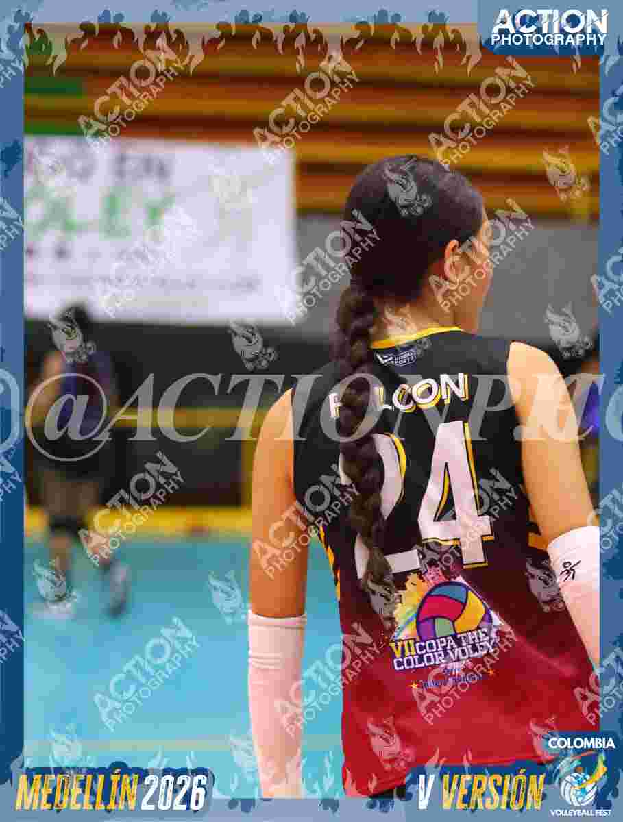 FALCON  Foto 18