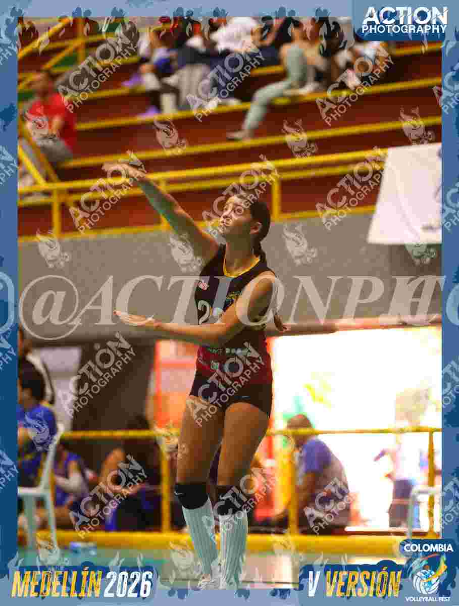 FALCON Foto 1