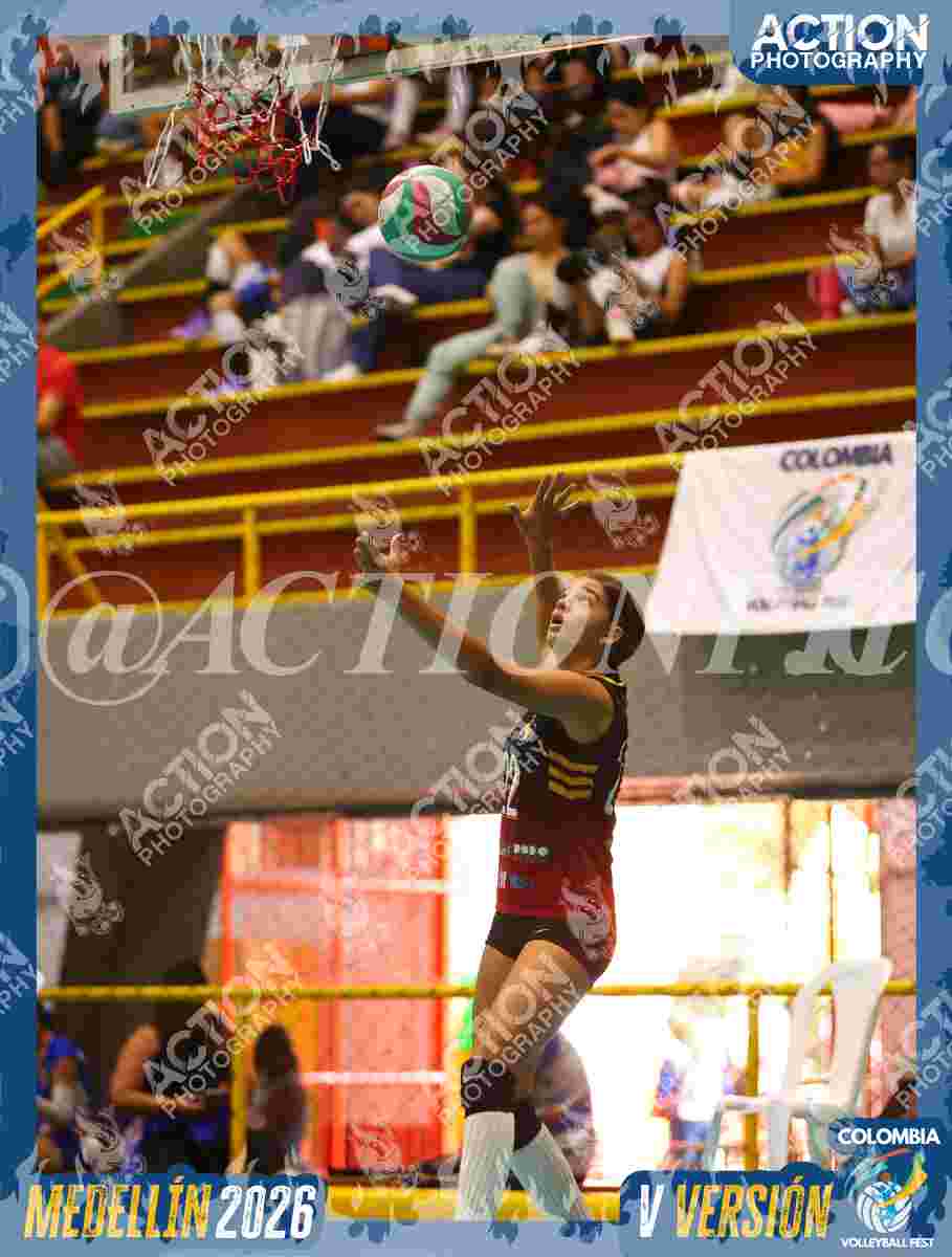 FALCON Foto 9