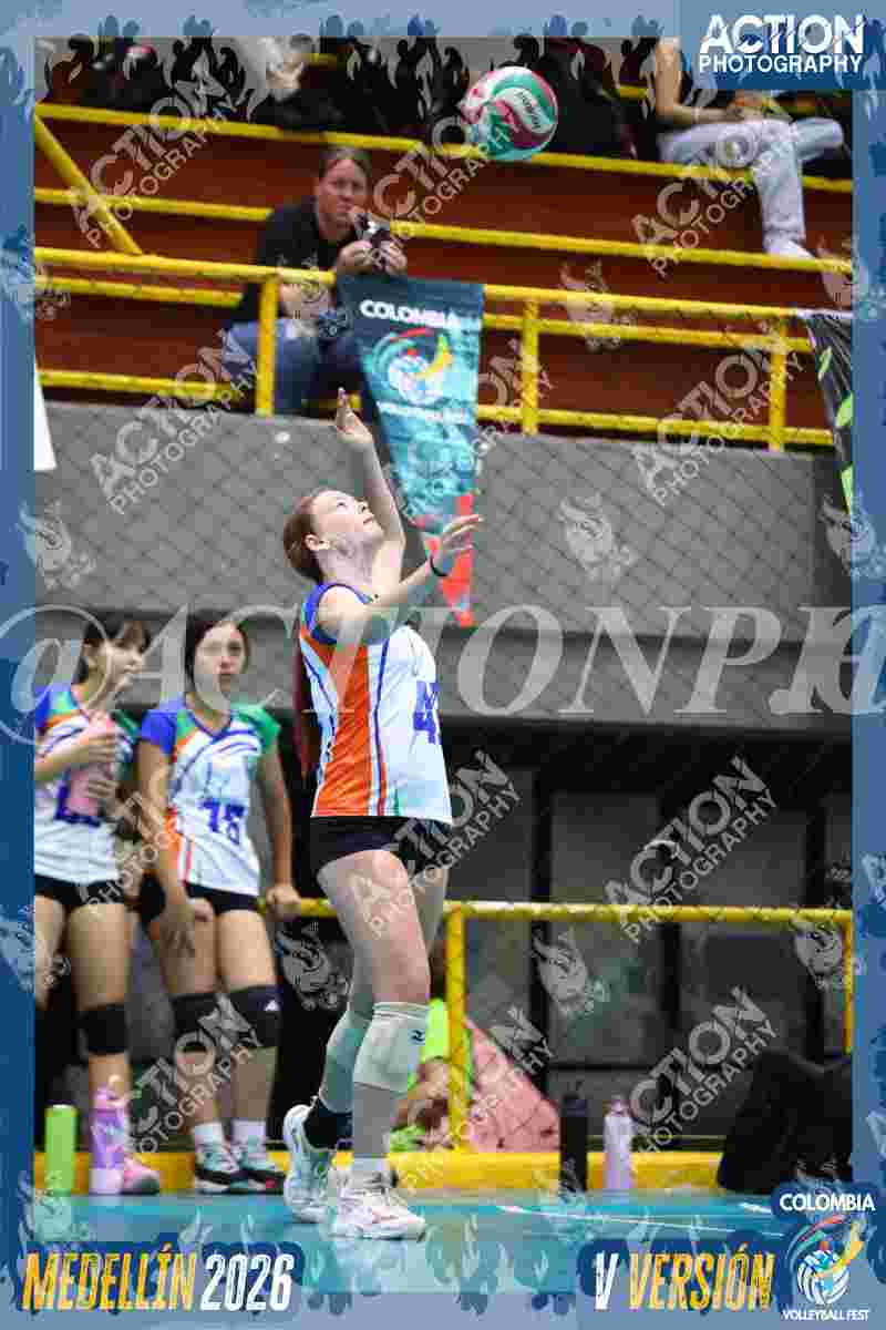 Preview de POTROS SPORTS BLUE
