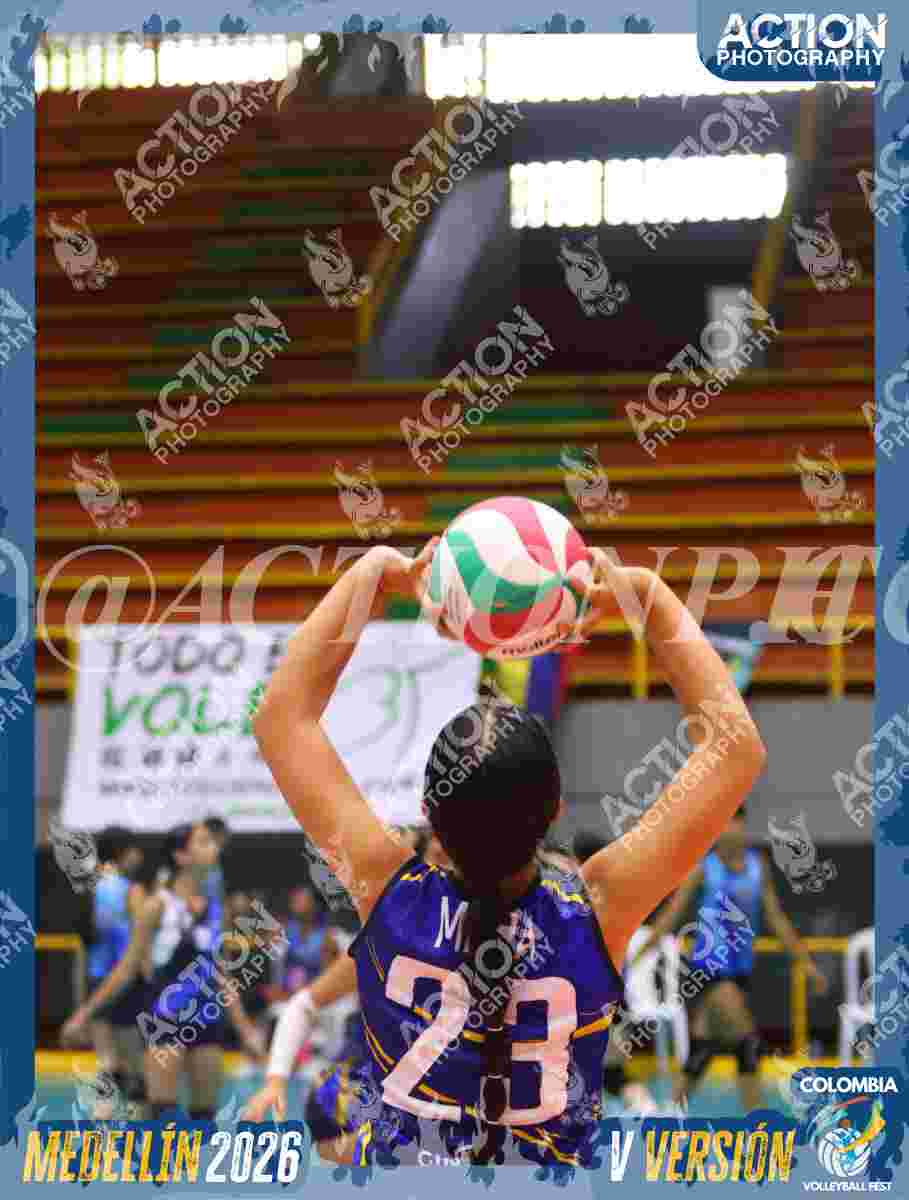 Preview de TIGRES 2013