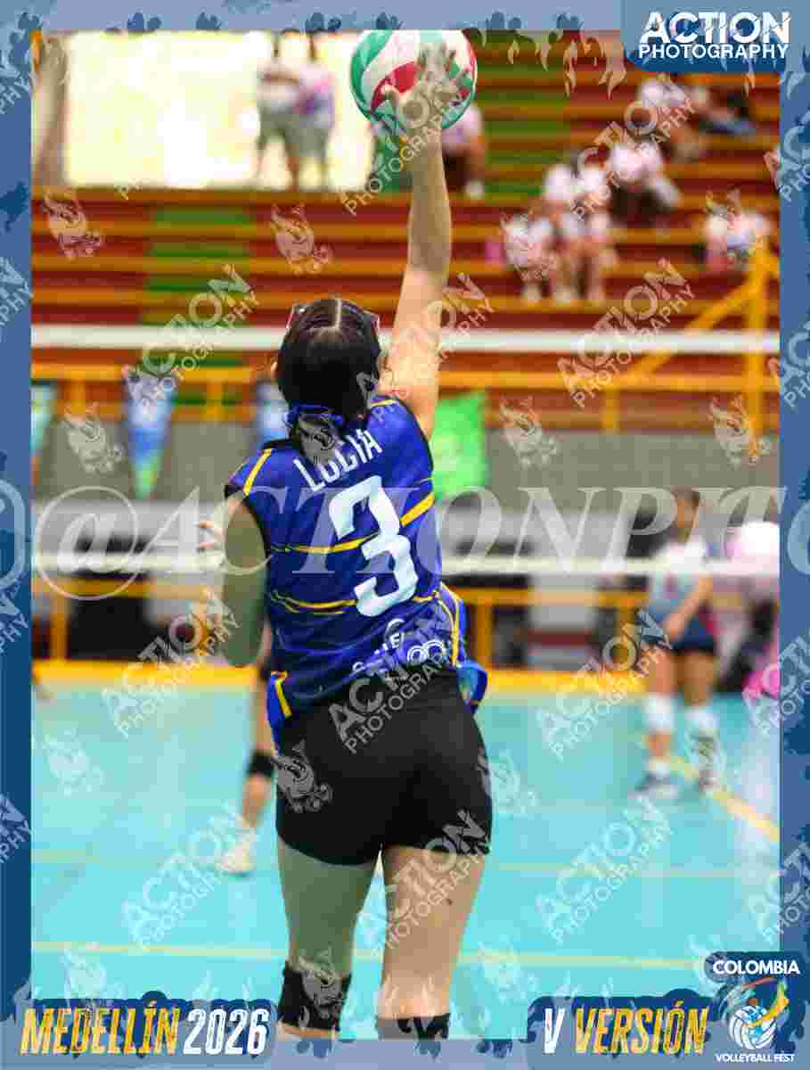 TIGRES DEL VOLEY Foto 1