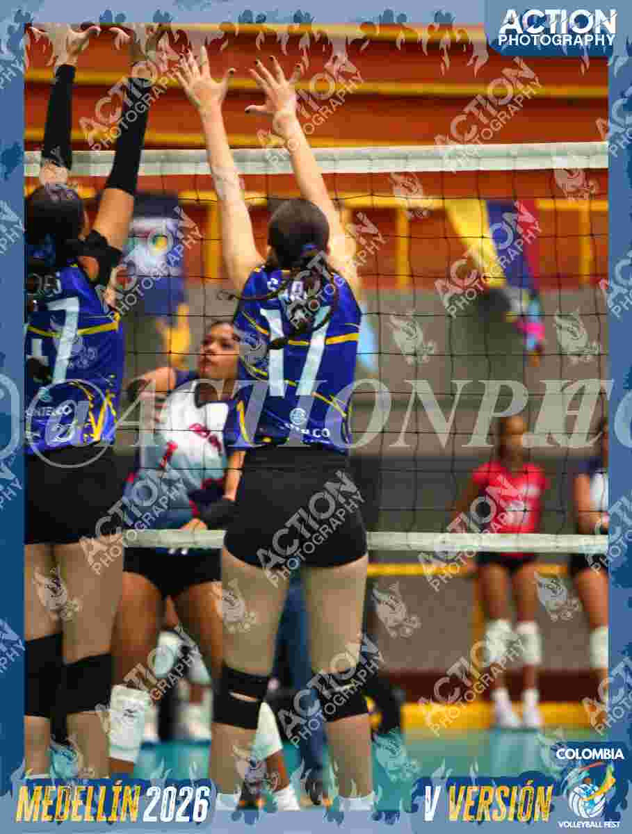 TIGRES DEL VOLEY Foto 1