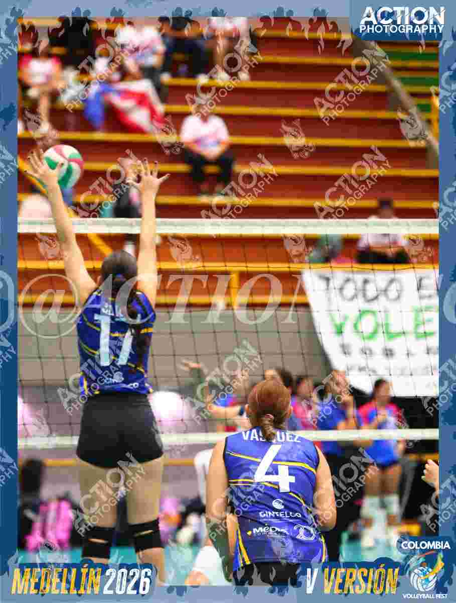 Preview de TIGRES DEL VOLEY