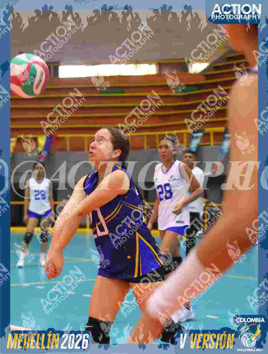 TIGRES JP Foto 1