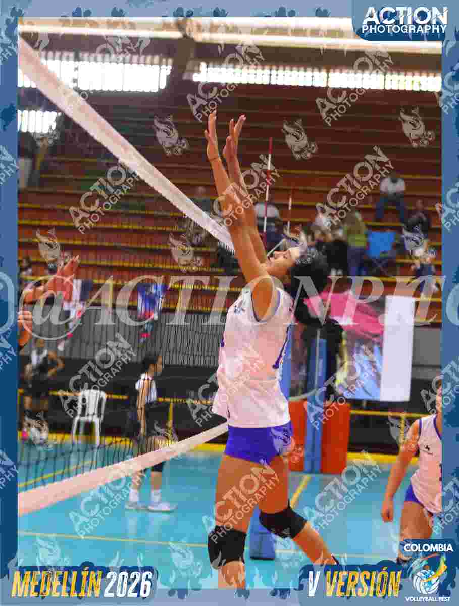 TIGRES JP Foto 1