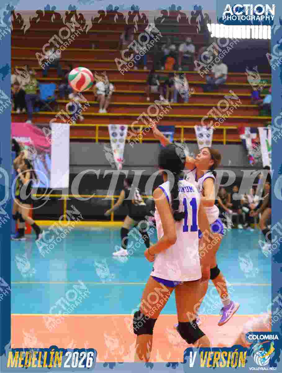 TIGRES JP Foto 1