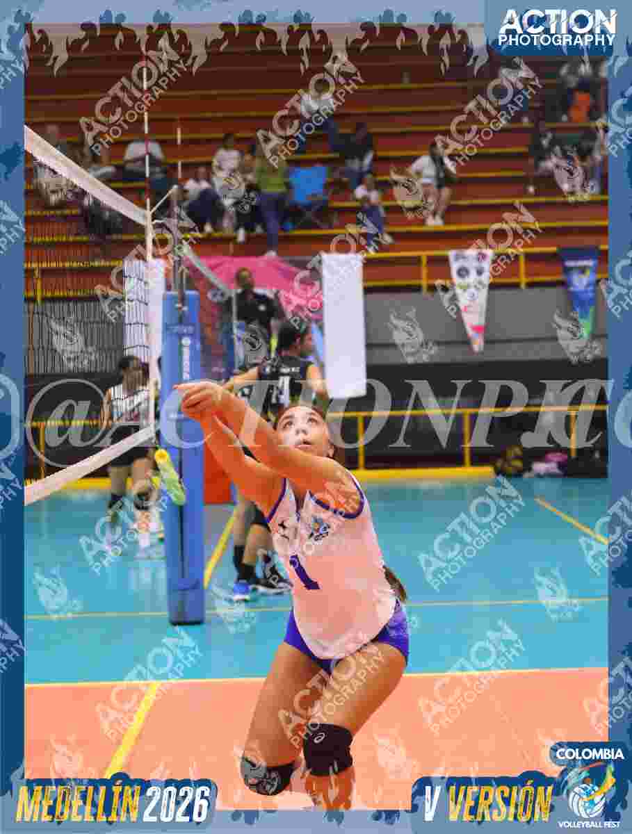 TIGRES JP Foto 1