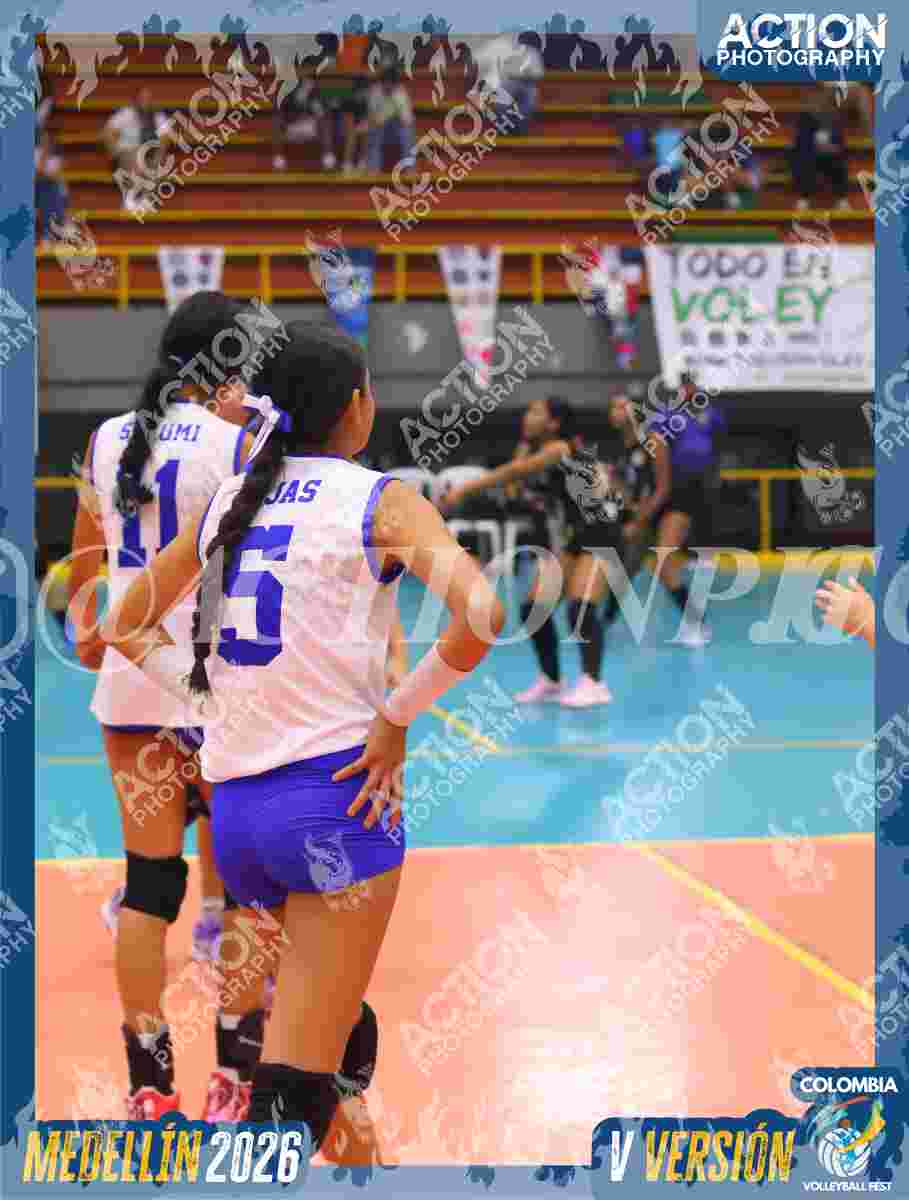 TIGRES JP Foto 1