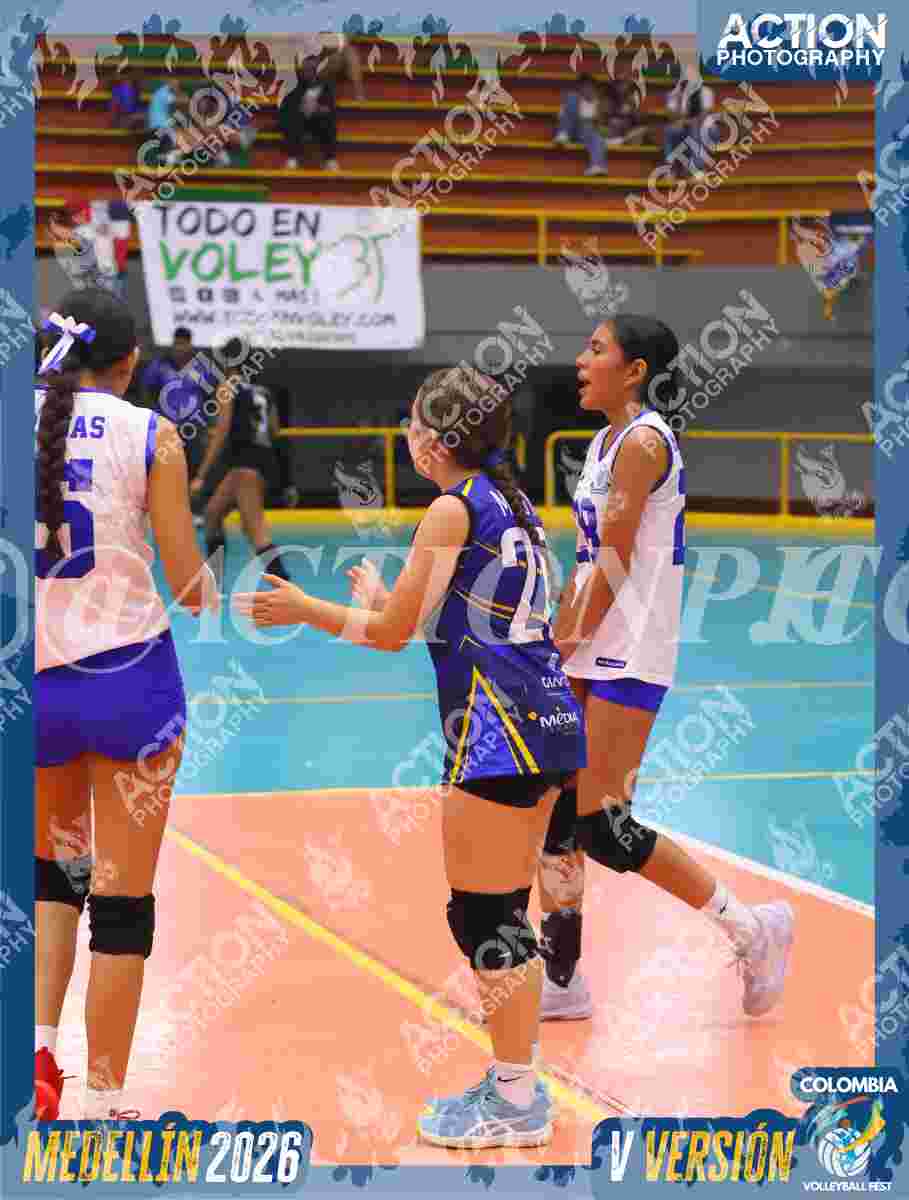 TIGRES JP Foto 1