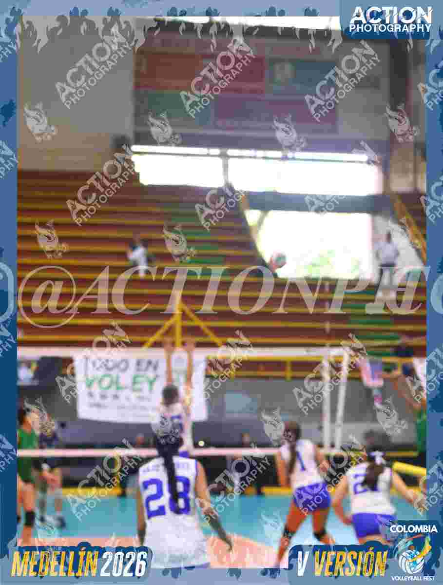 TIGRES JP Foto 1