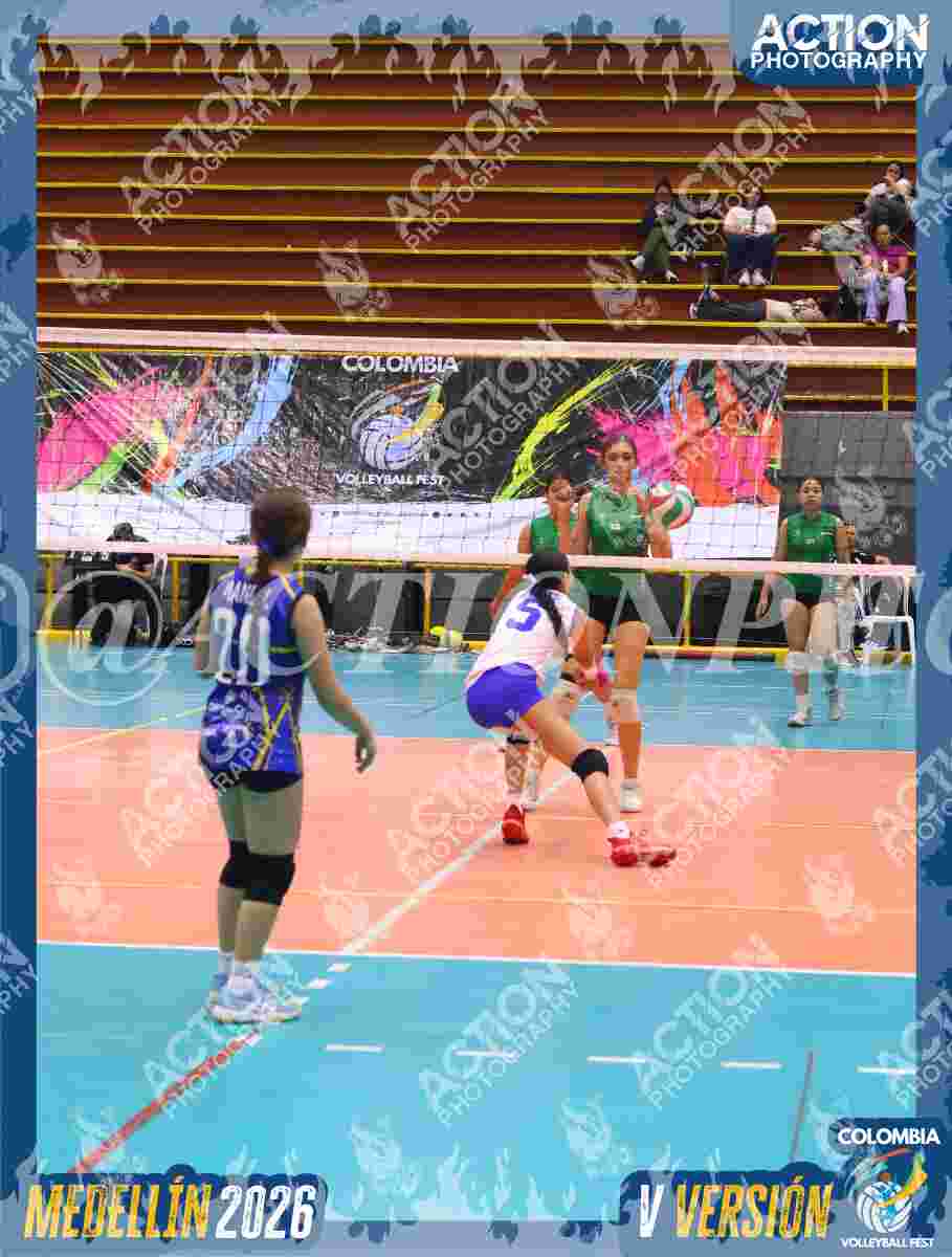 TIGRES JP Foto 11