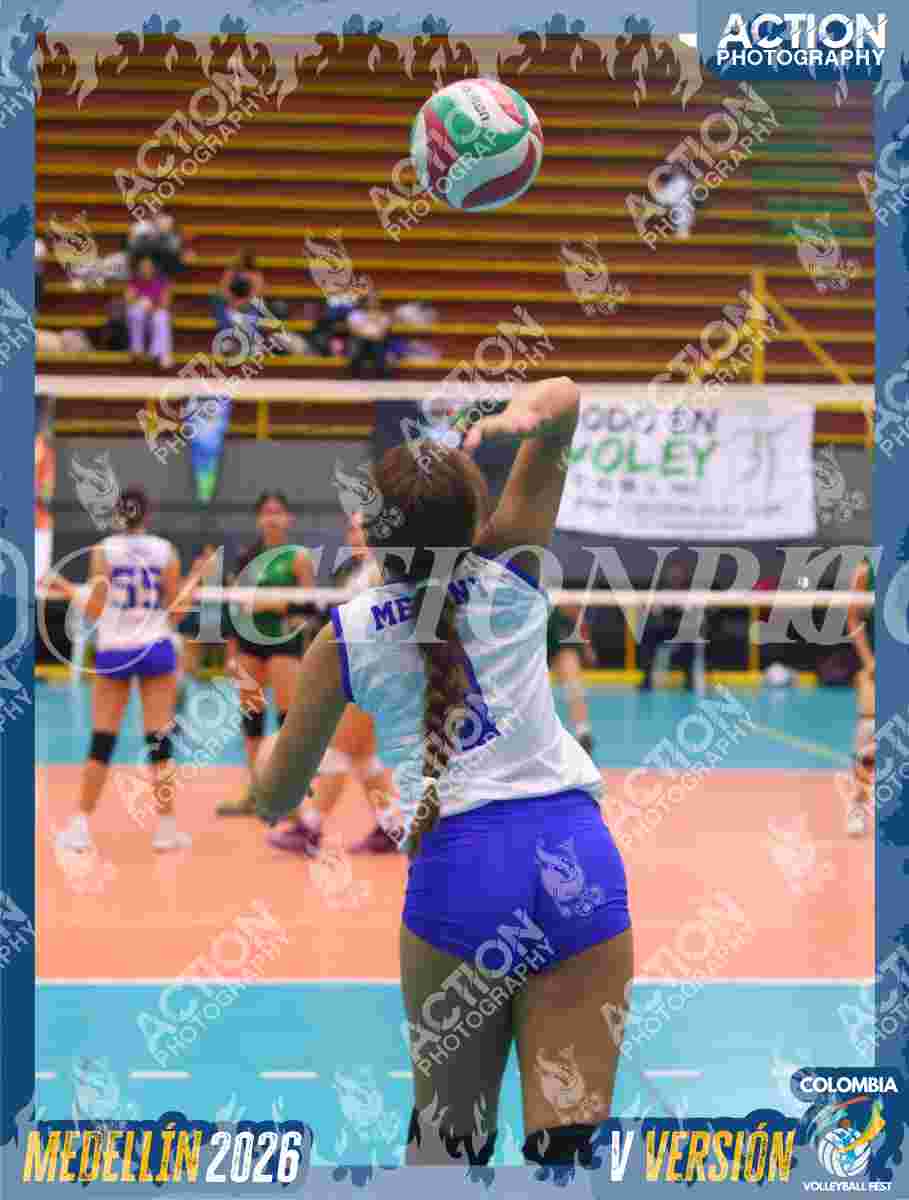 TIGRES JP Foto 11