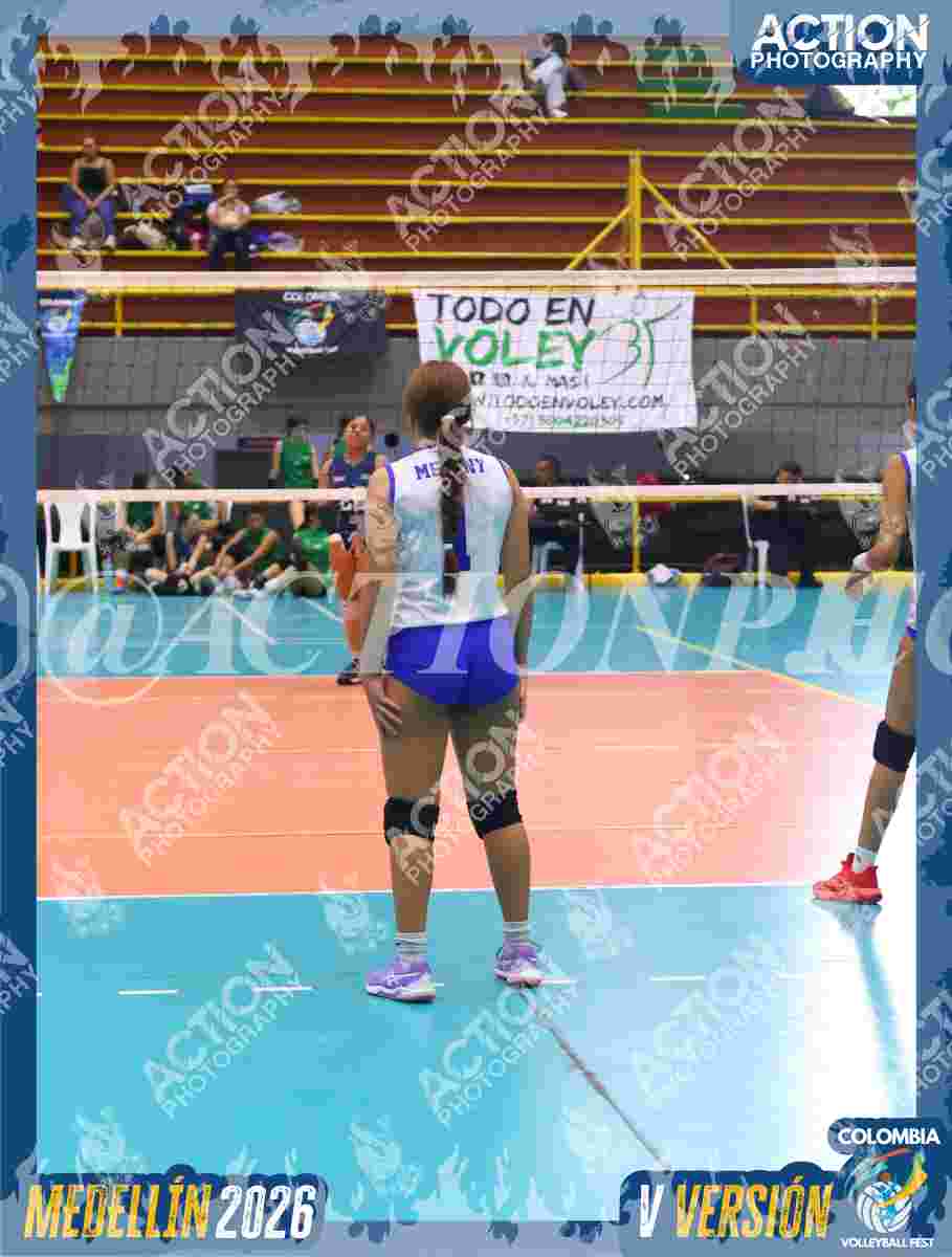 TIGRES JP Foto 11