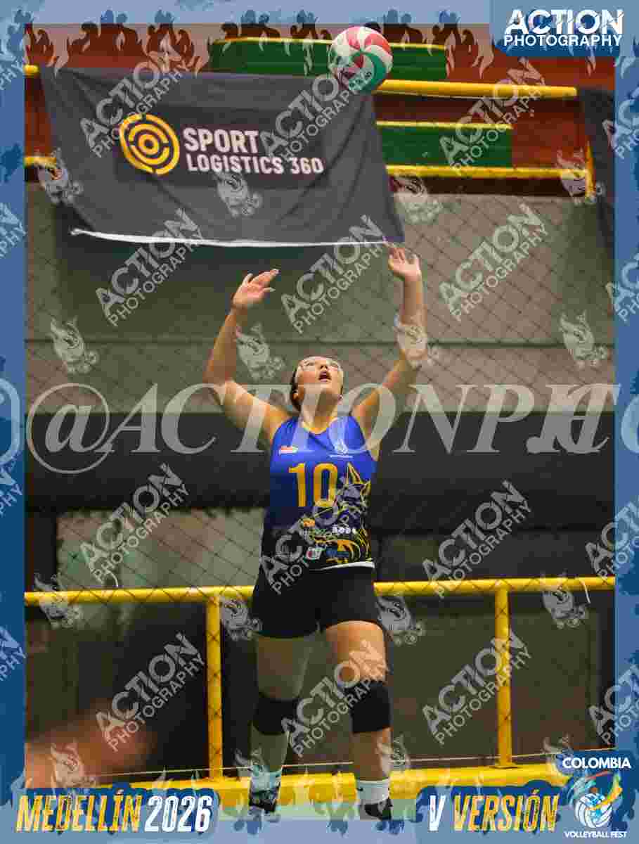WOLVES Foto 1