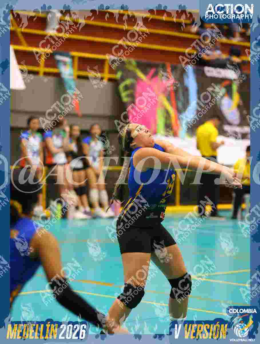 WOLVES Foto 1