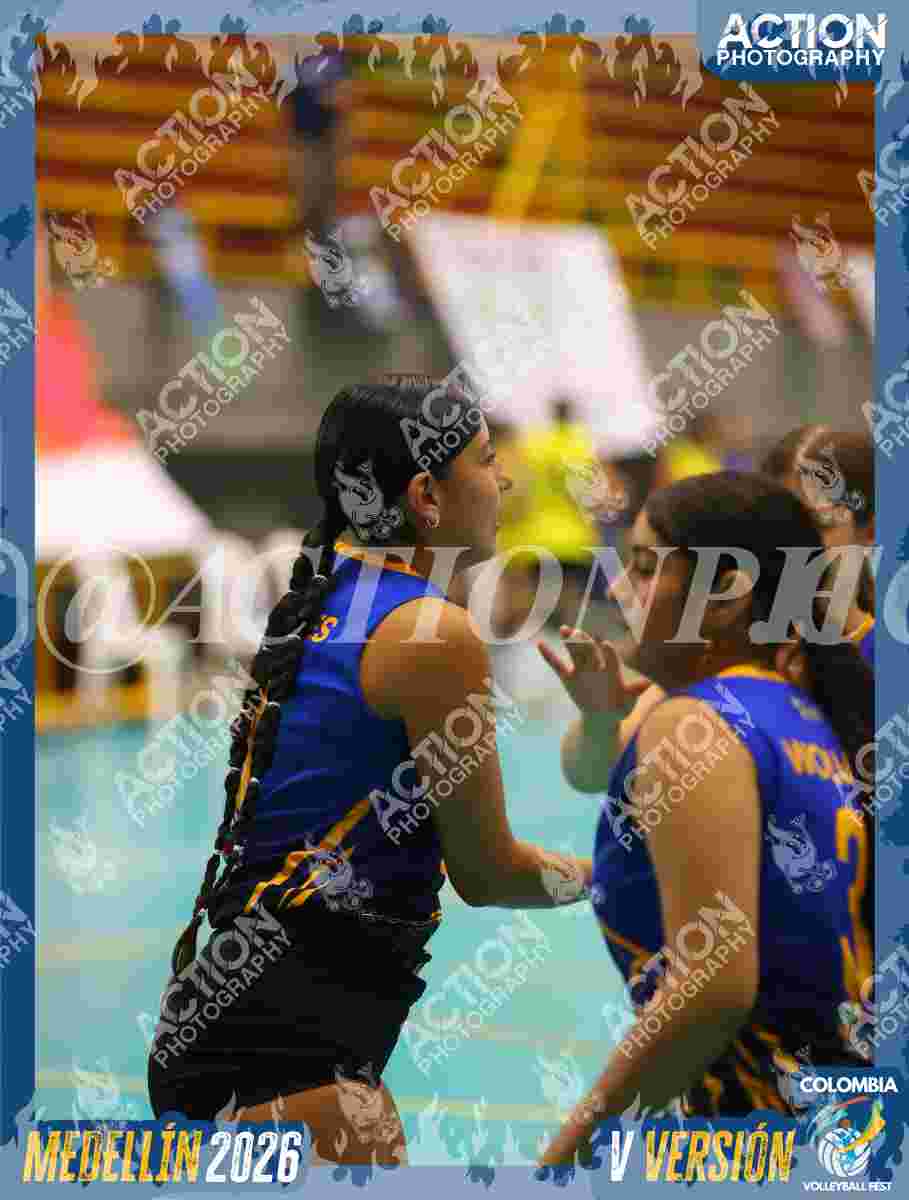 WOLVES Foto 1