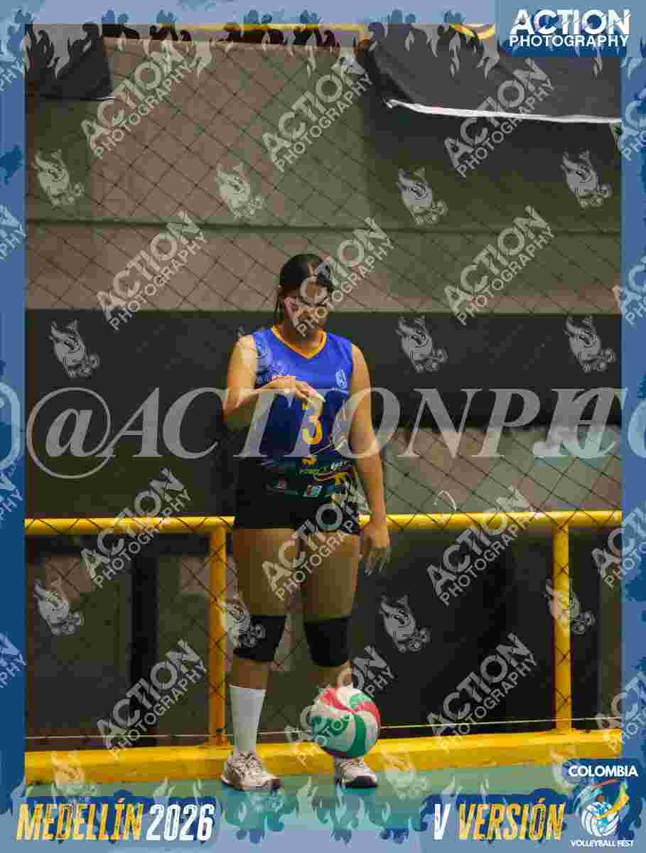 WOLVES Foto 11