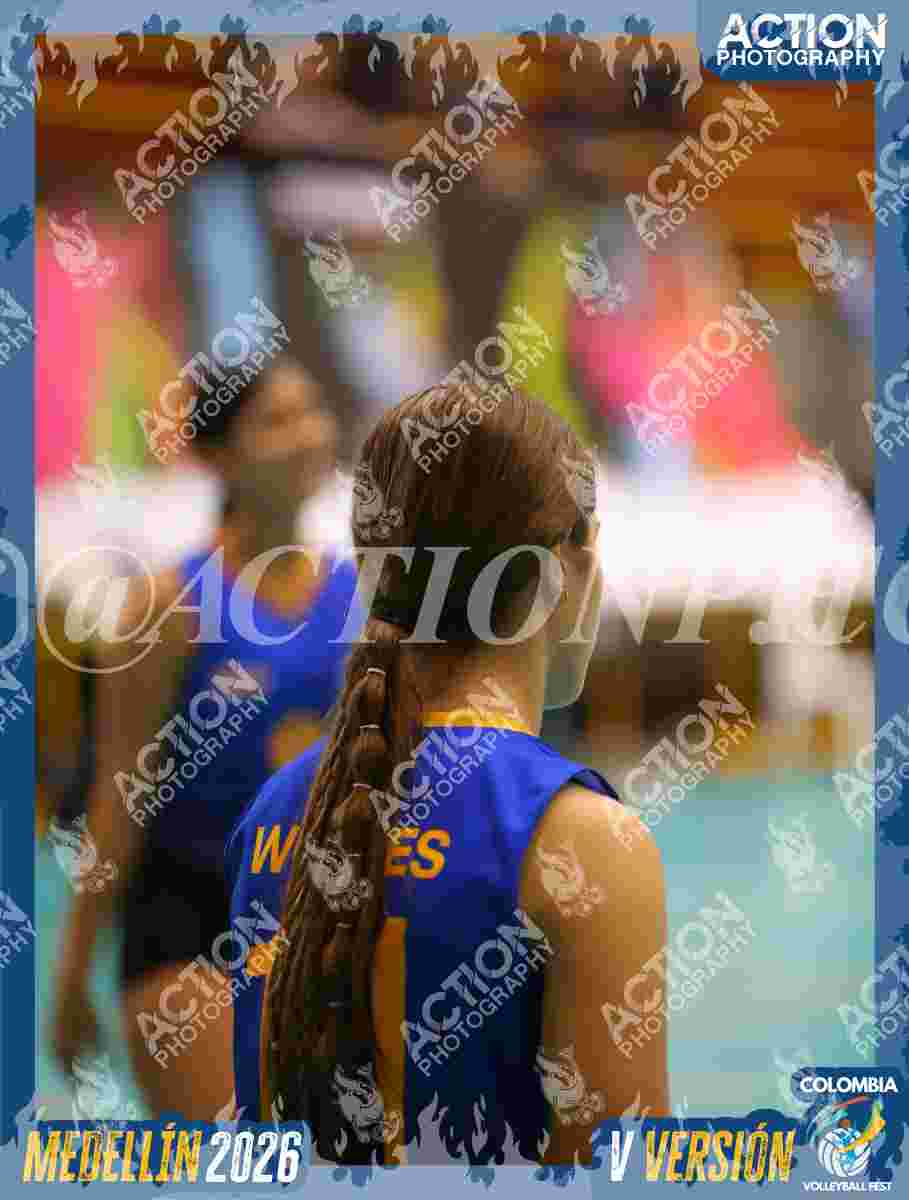 WOLVES Foto 11
