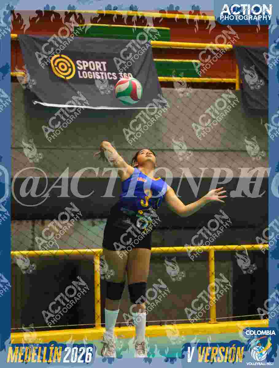 WOLVES Foto 11