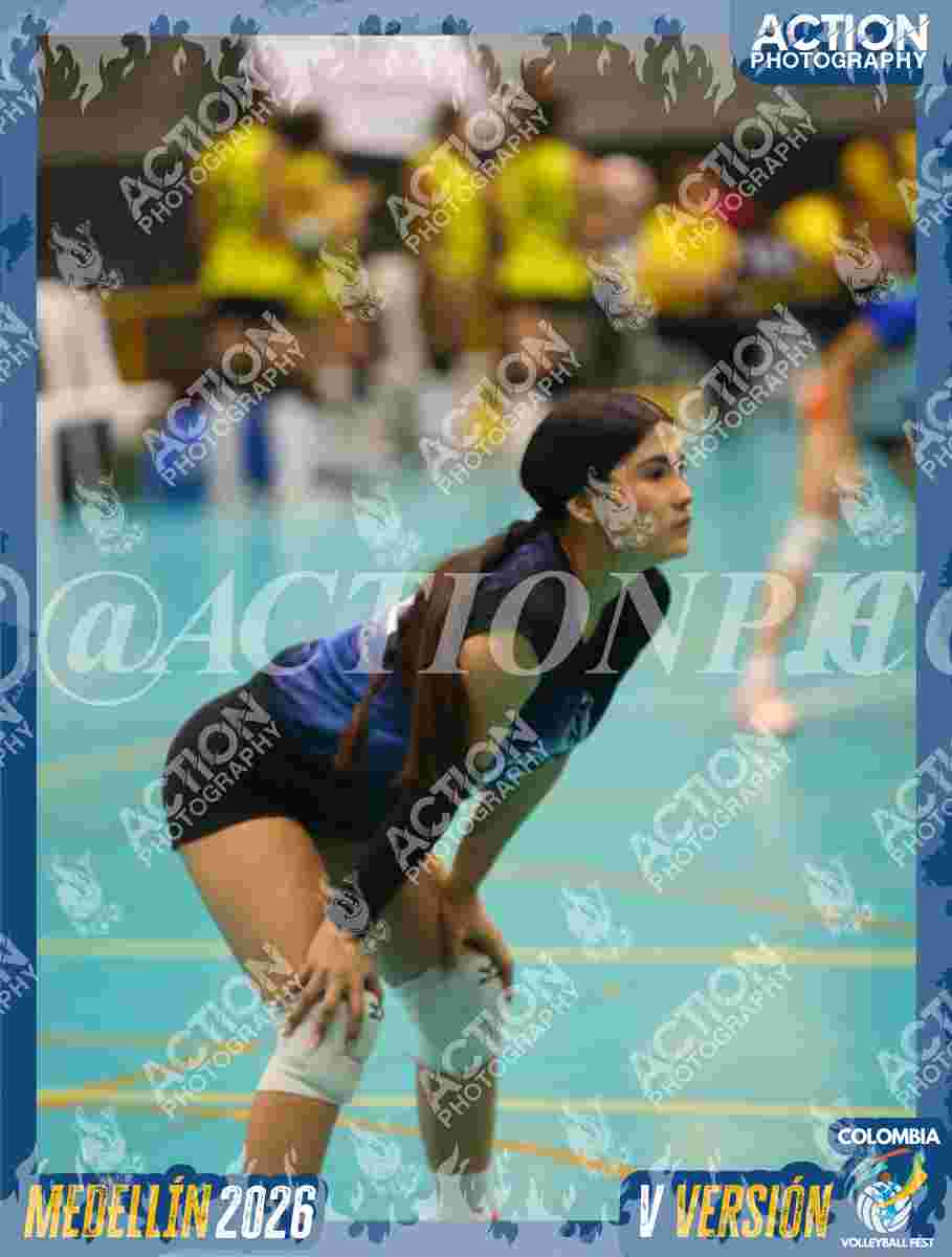 WOLVES Foto 11