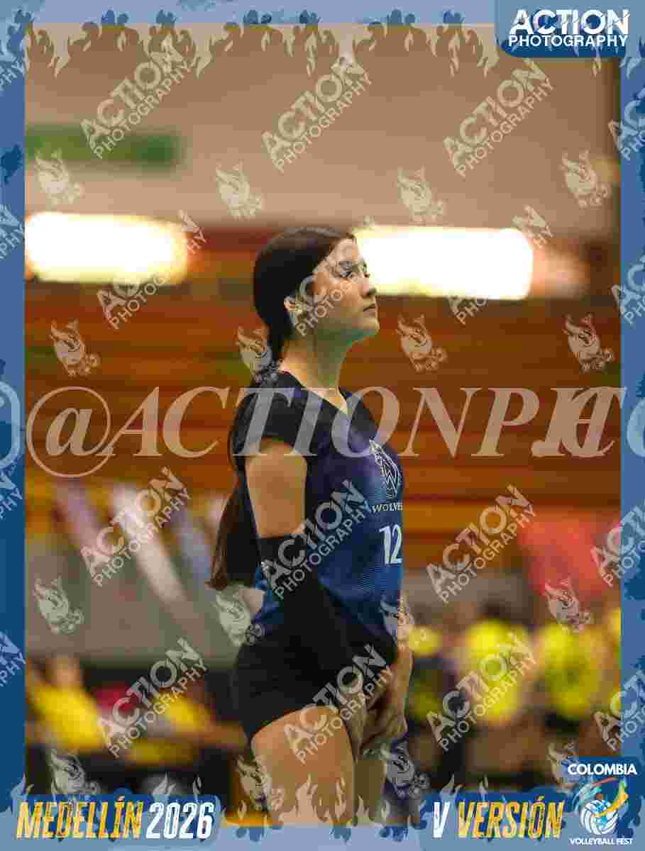 WOLVES Foto 11