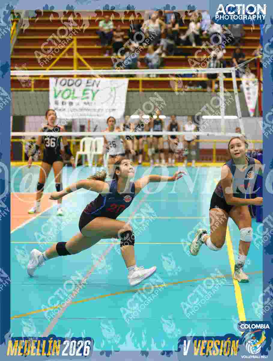 Preview de ATENAS BLUE