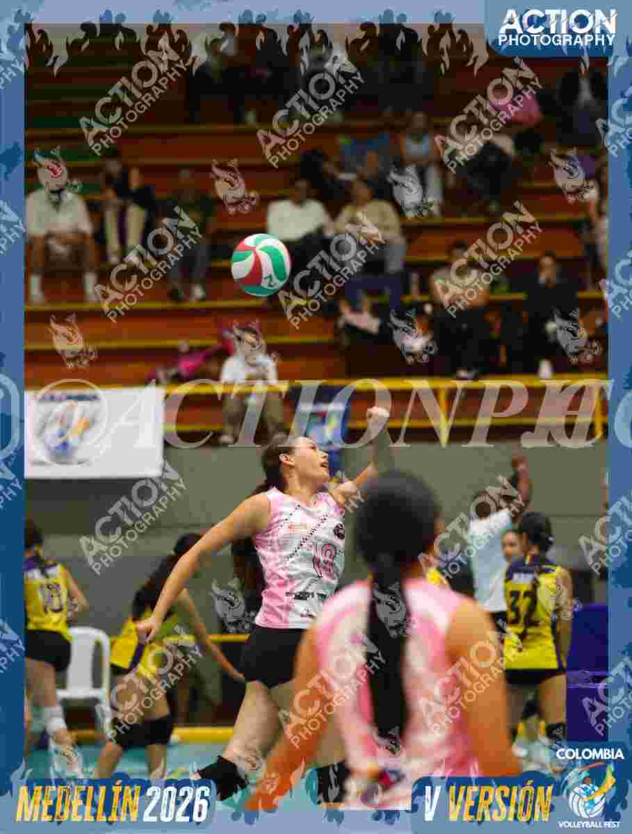 Preview de BMC