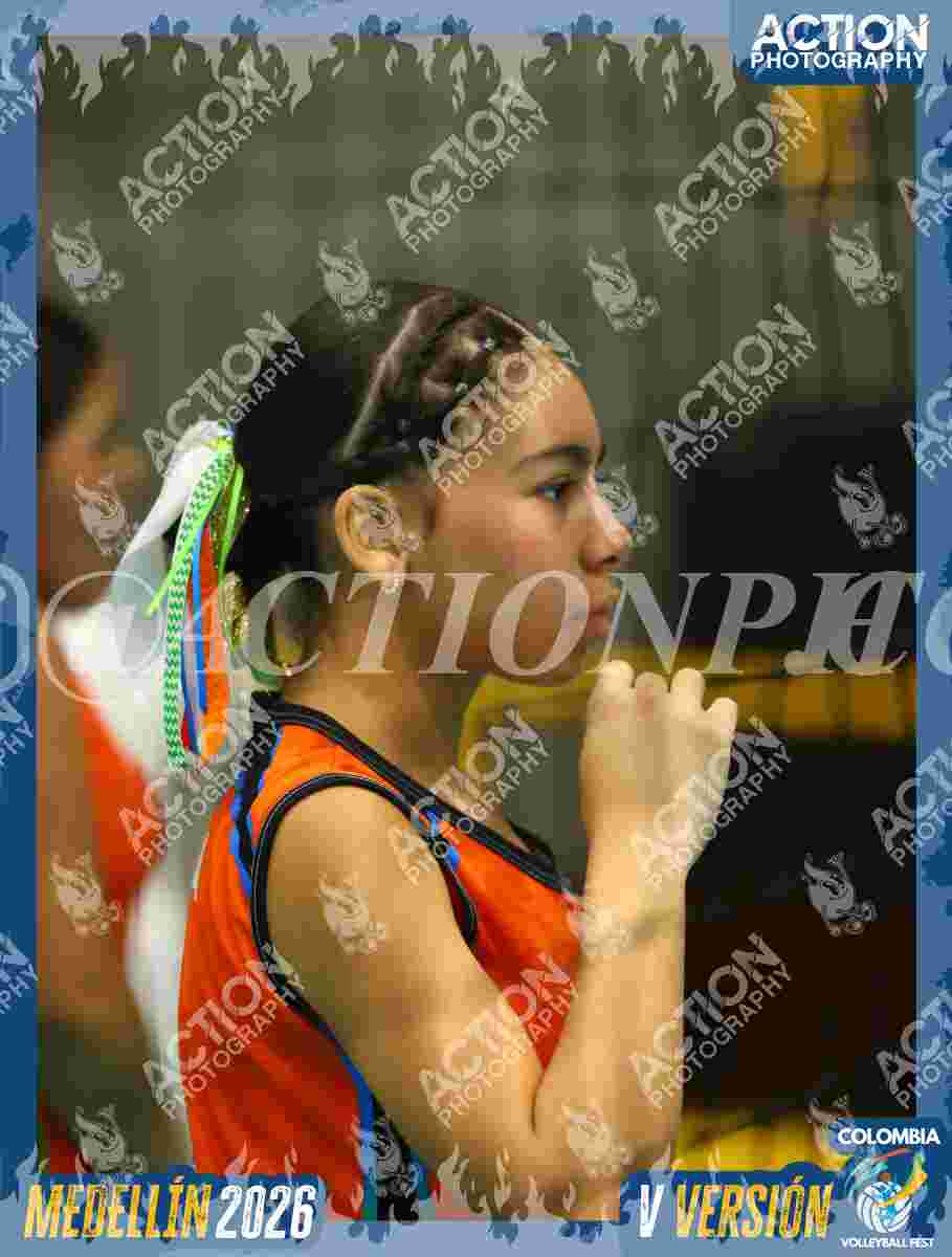 Preview de ENVOL