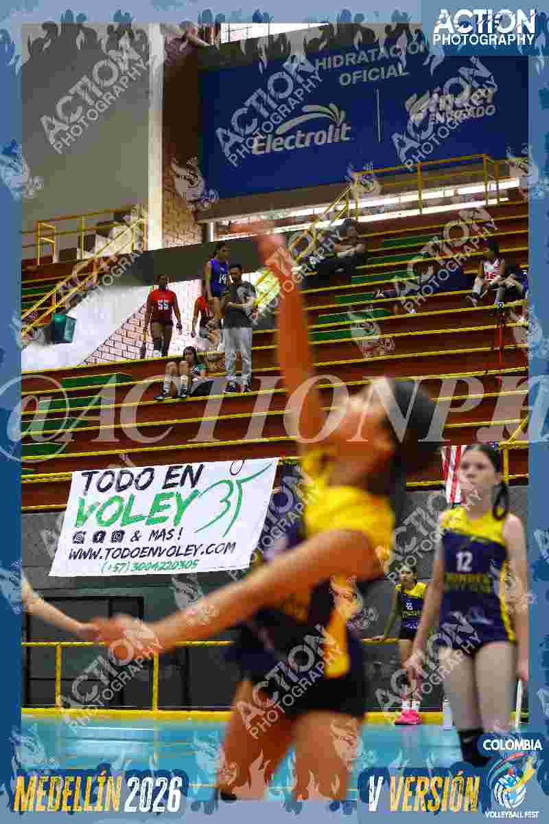 YELLOW Foto 14