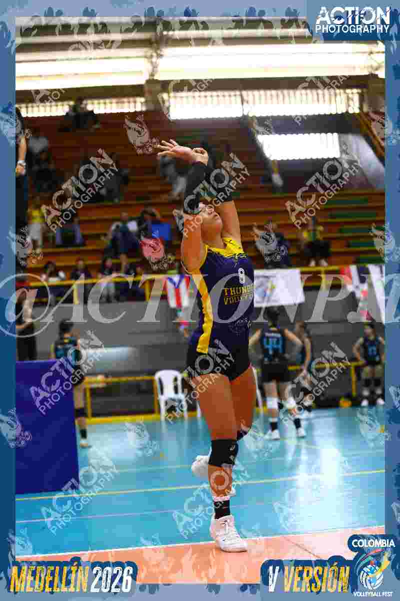 YELLOW Foto 14