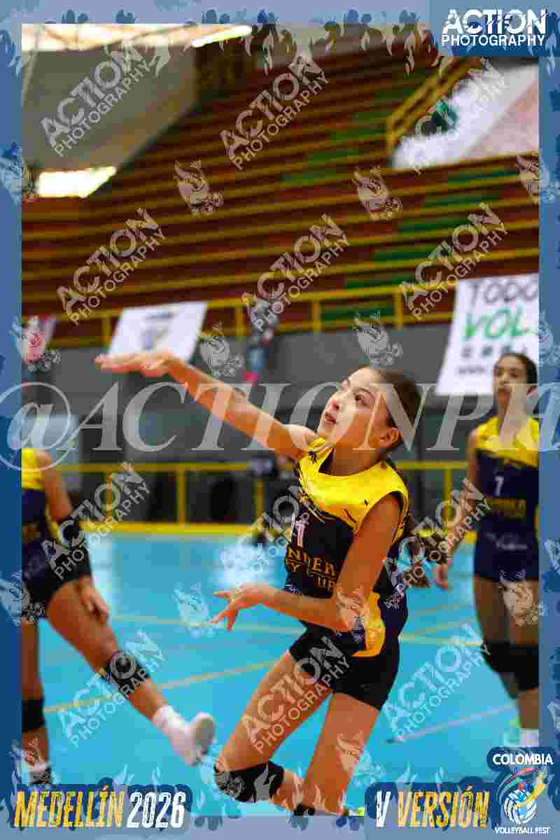 Preview de THUNDERS VOLLEY