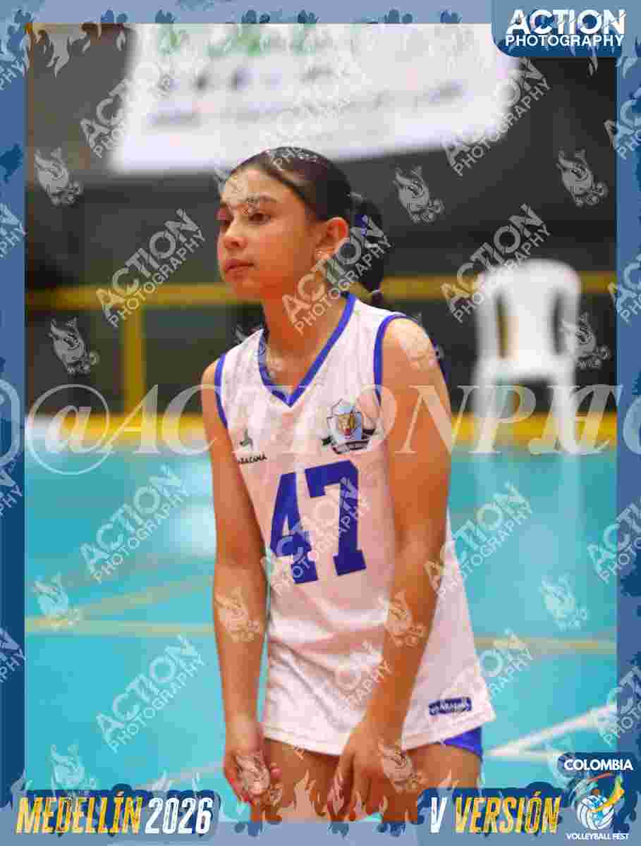 TIGRES S Foto 1
