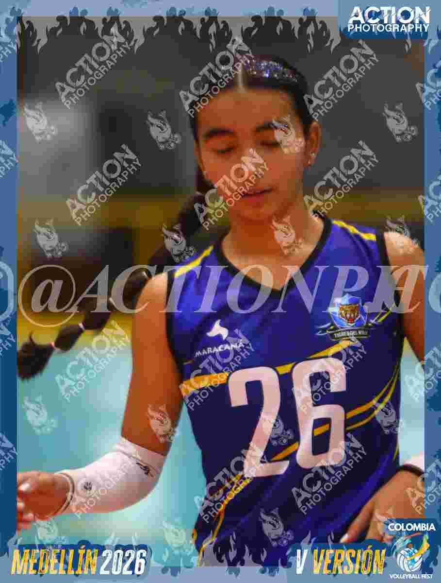 TIGRES S Foto 1