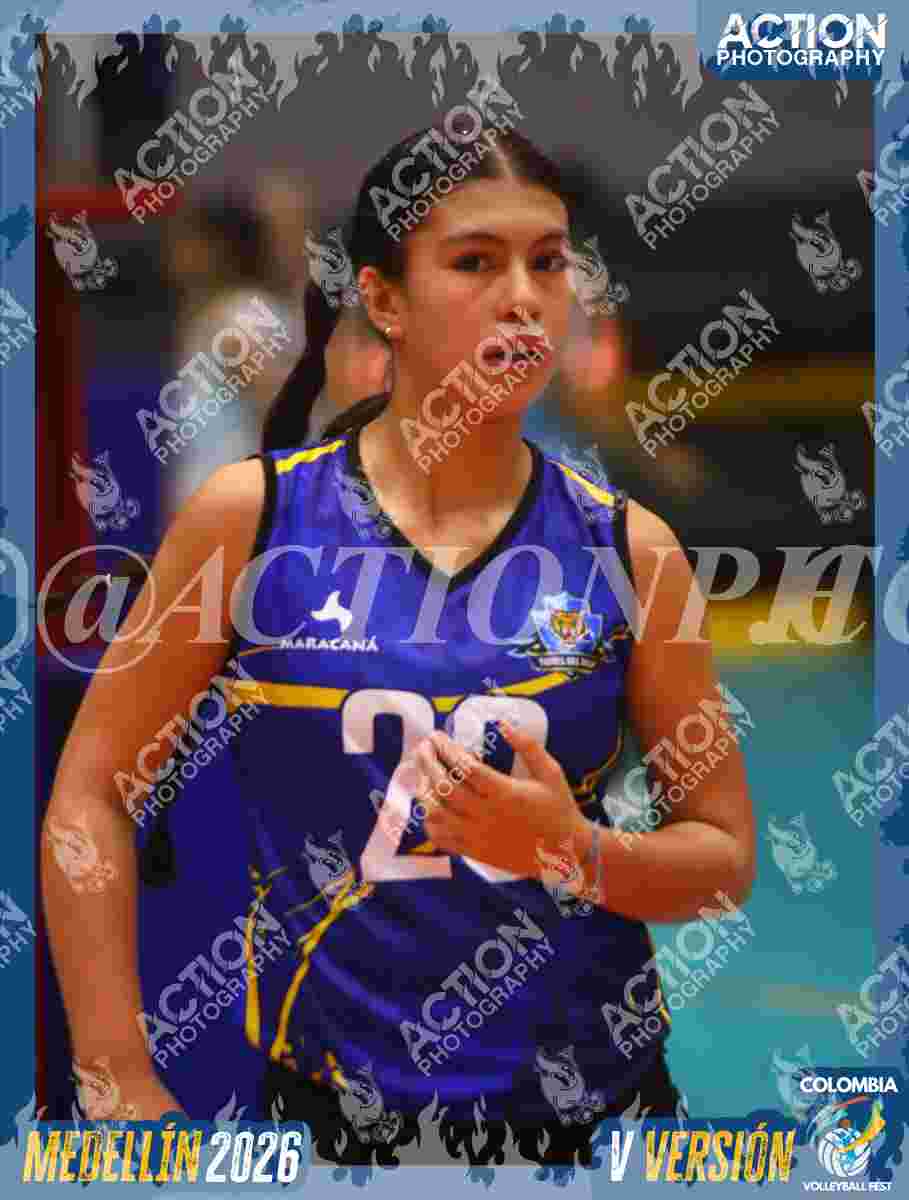 TIGRES S Foto 1