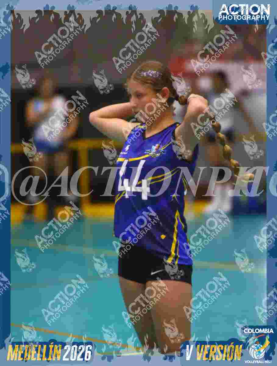 TIGRES S Foto 1