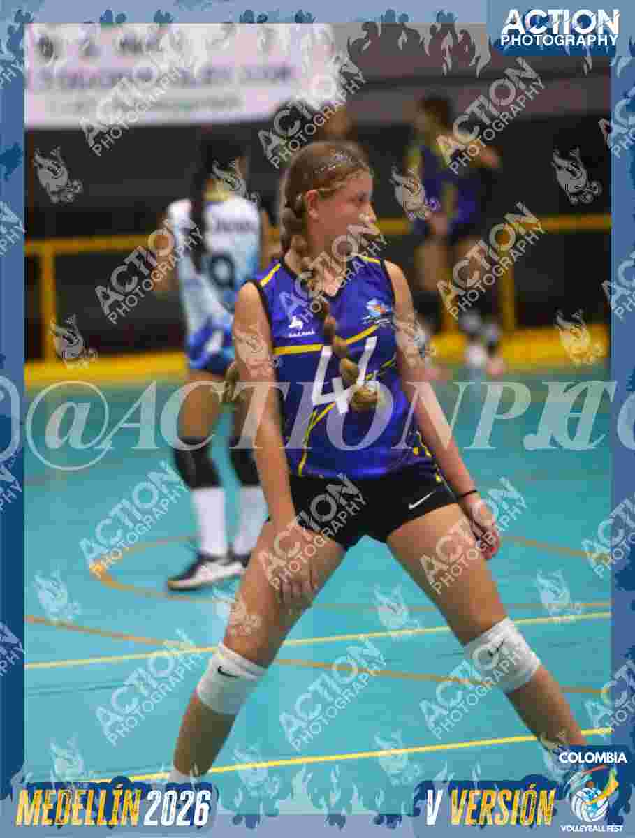 TIGRES S Foto 11