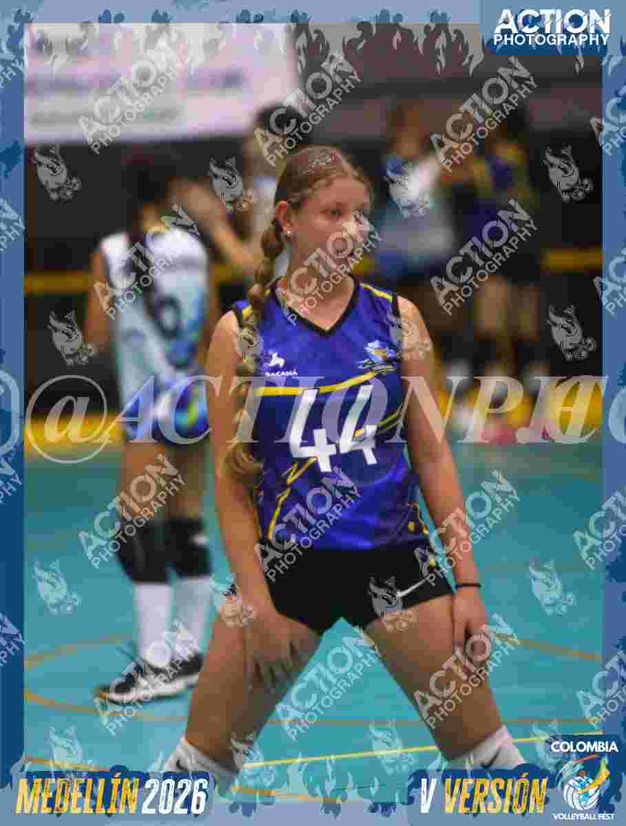 TIGRES S Foto 11