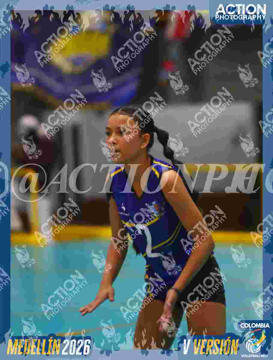 TIGRES S Foto 11