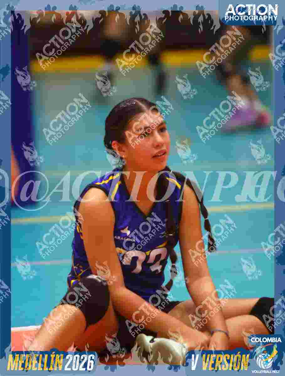 TIGRES S Foto 11