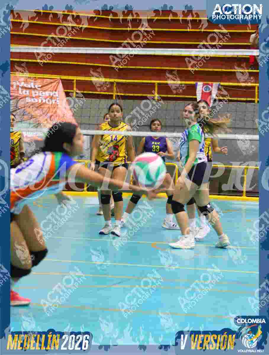 POTROS SPORTS YELLOW Foto 9