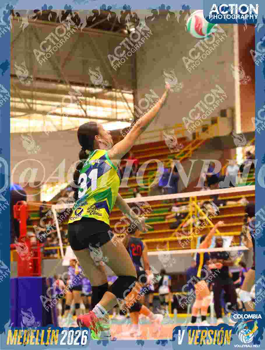 ROLDAN VOLEYCLUB DORADO Foto 11