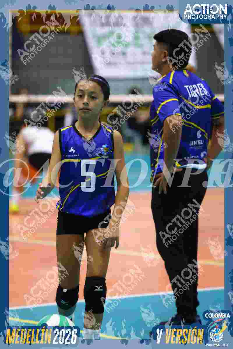 TIGRES DEL VOLEY Foto 1
