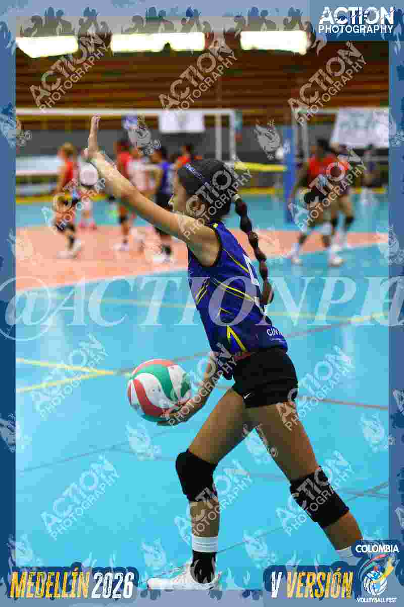 TIGRES DEL VOLEY Foto 1