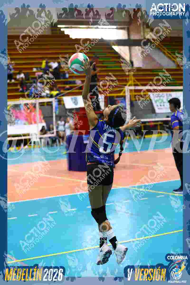 TIGRES DEL VOLEY Foto 1