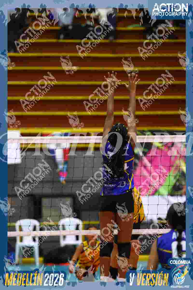 TIGRES DEL VOLEY Foto 1