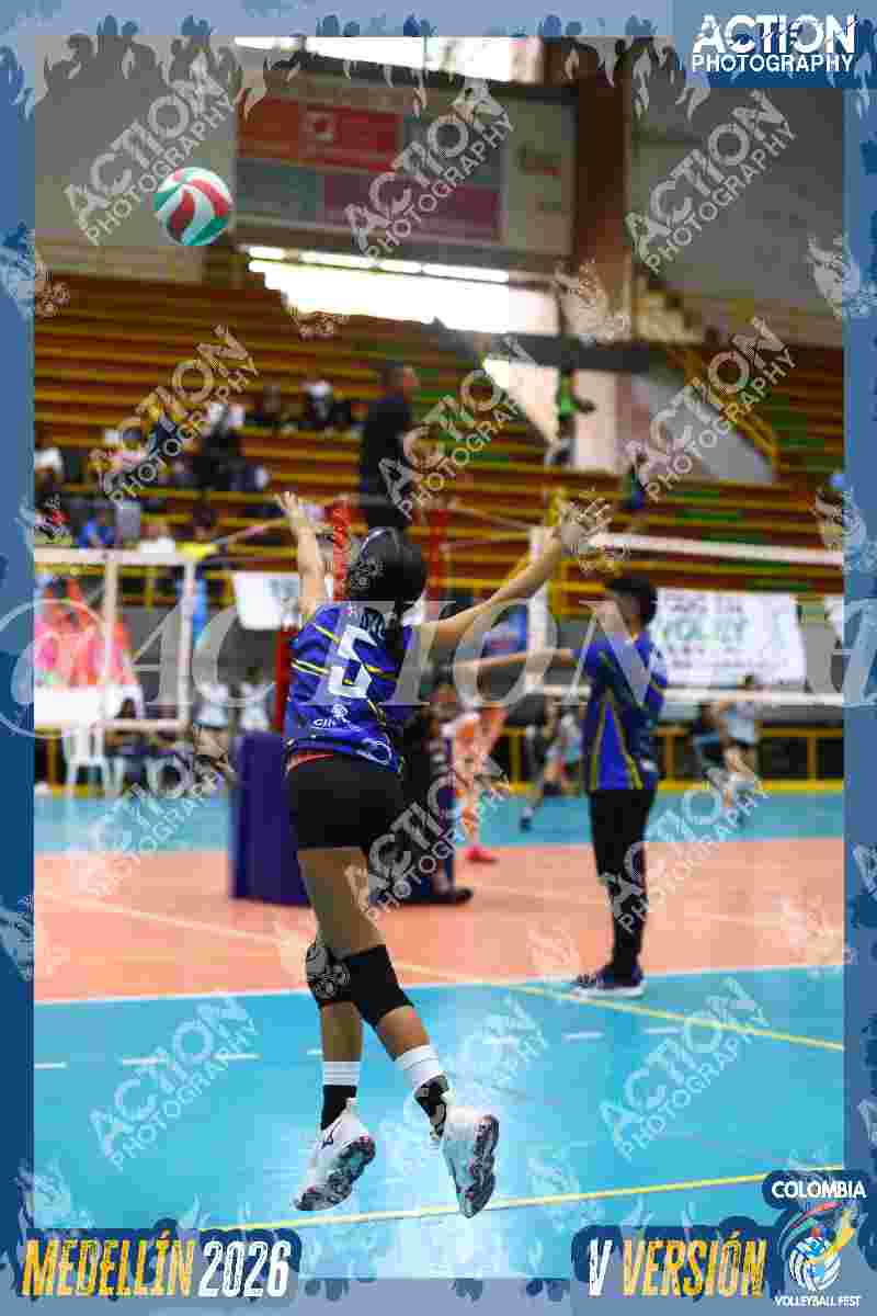 TIGRES DEL VOLEY Foto 1